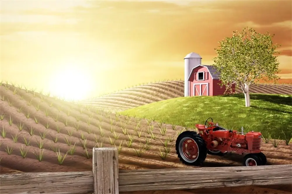 Agriculture Farming Background - Morgenliche Einfamilienfeier auf der Farm, frischer