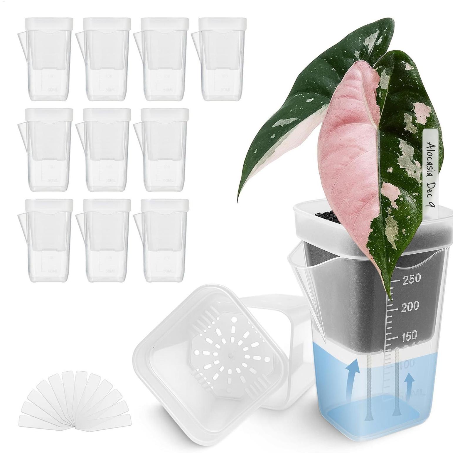 Plant Growth Regulator - 10 Stück transparente, selbstbewässernde Pflanzentöpfe für