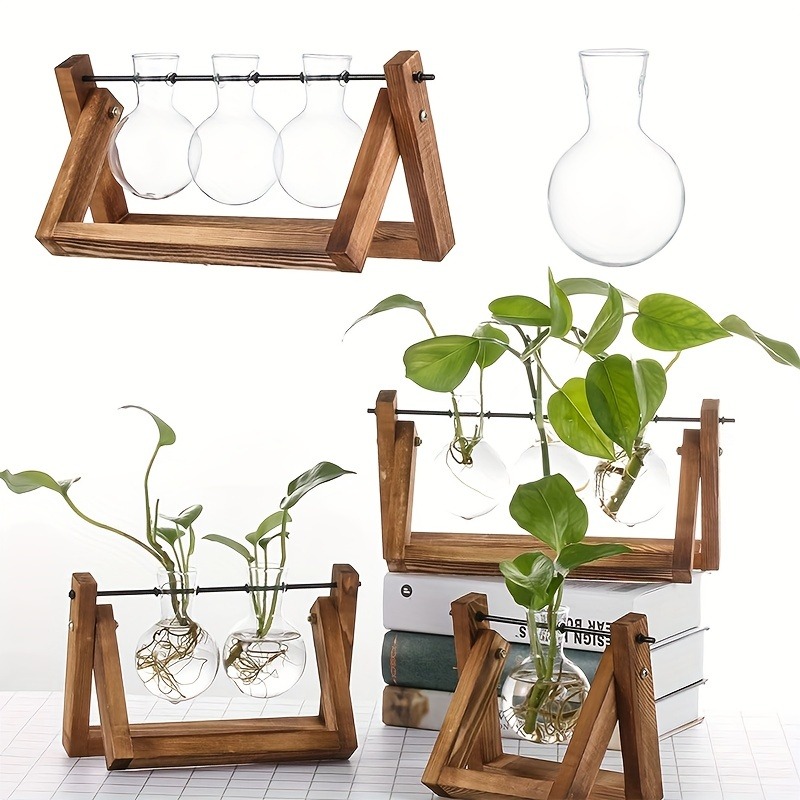 Plant Growth Regulator - Tabletop Glas Pflanzer Vermehrung Station Hydrokultur