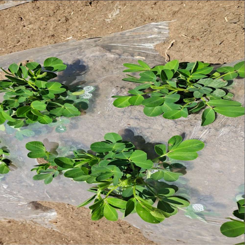 Landwirtschaftliches Bauernhof – Greenhouse Plastic Film Bewertung und Preis