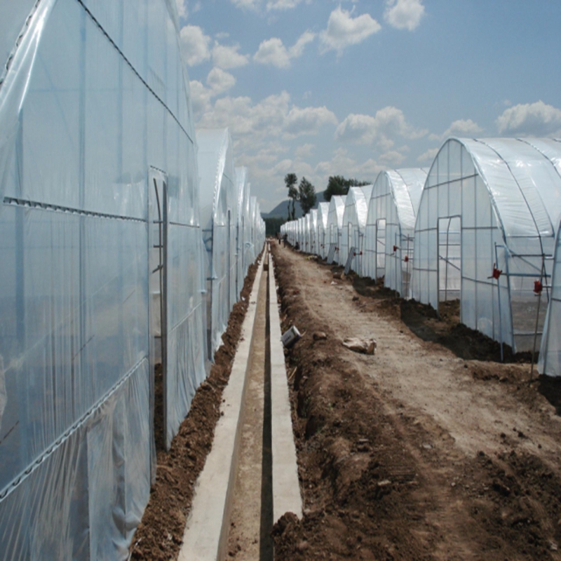 0,04~0,12mm Landwirtschaftlich – Greenhouse Plastic Film Bewertung und Preis