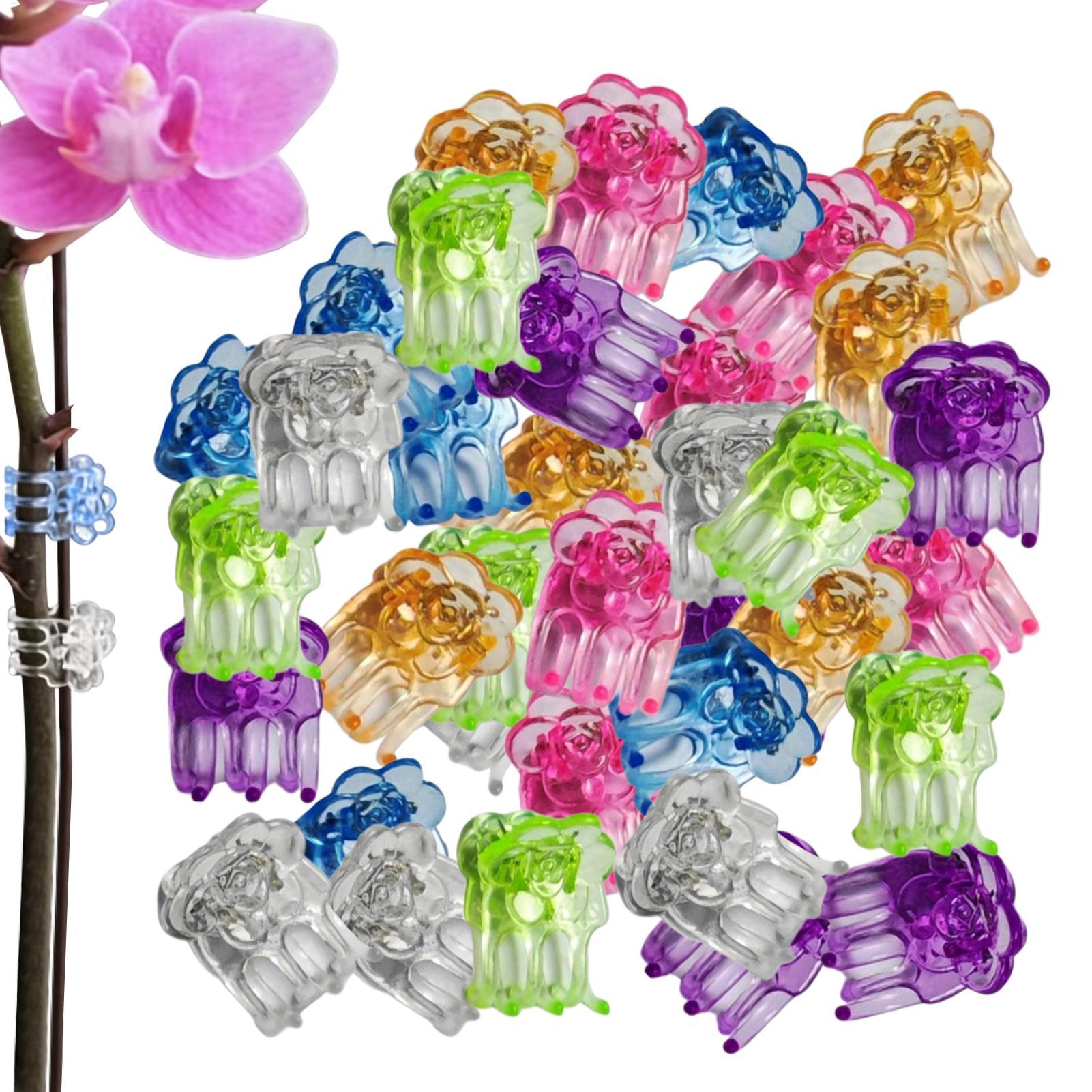 Orchideen-Clips, 60 Stück, Sch – Greenhouse Plastic Film Bewertung und Preis