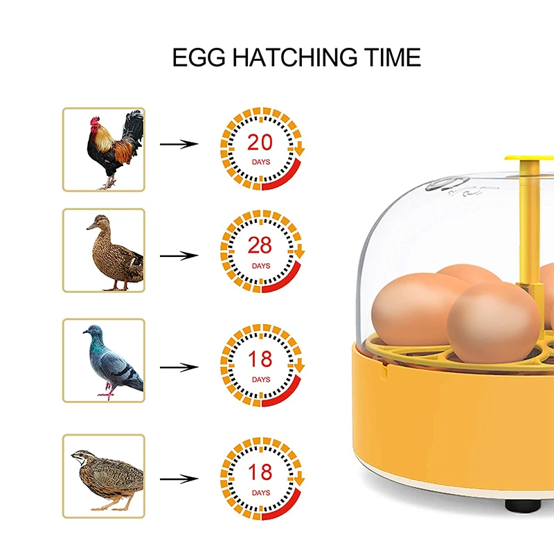 Brutkasten für Hühner, Enten u – Poultry Incubator Bewertung und Preis