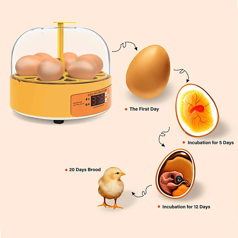 Brutkasten für Hühner, Enten u – Poultry Incubator Bewertung und Preis