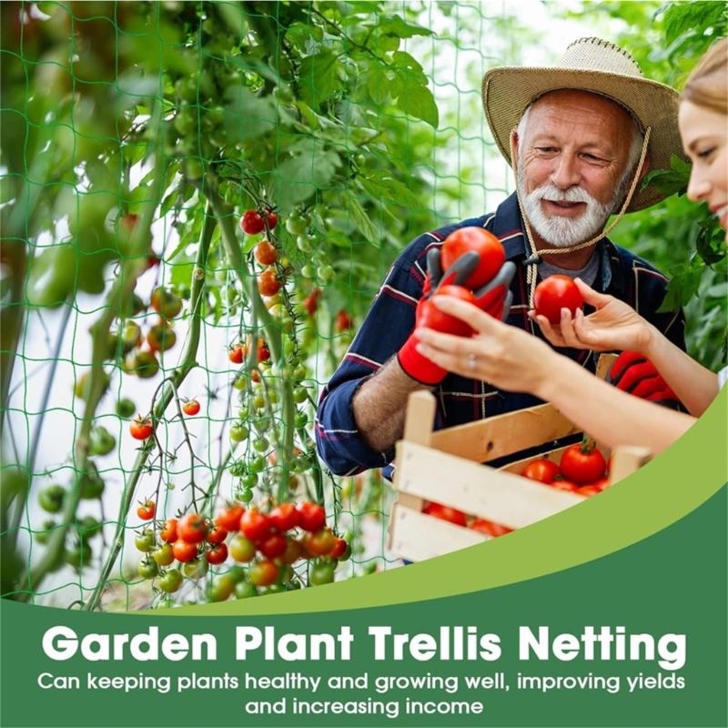 Gartengitternetz, Pflanzenstüt – Agriculture Farming Net Bewertung und Preis