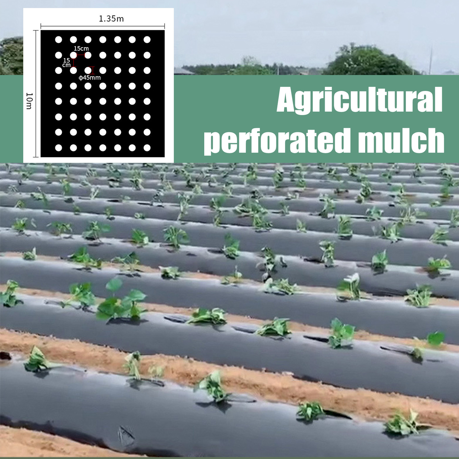 PE Perforierte Mulchfolie für  – Greenhouse Plastic Film Bewertung und Preis