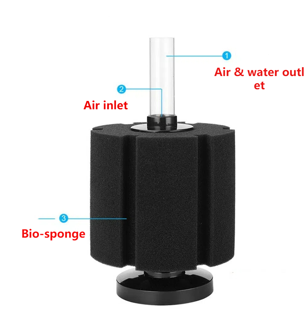 Aquarium Filter Schwamm Für Aq – Fish Pond Aerator Bewertung und Preis