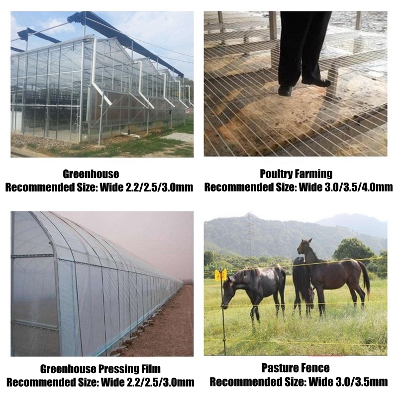50m Kunststoff-Stahldraht für  – Greenhouse Plastic Film Bewertung und Preis