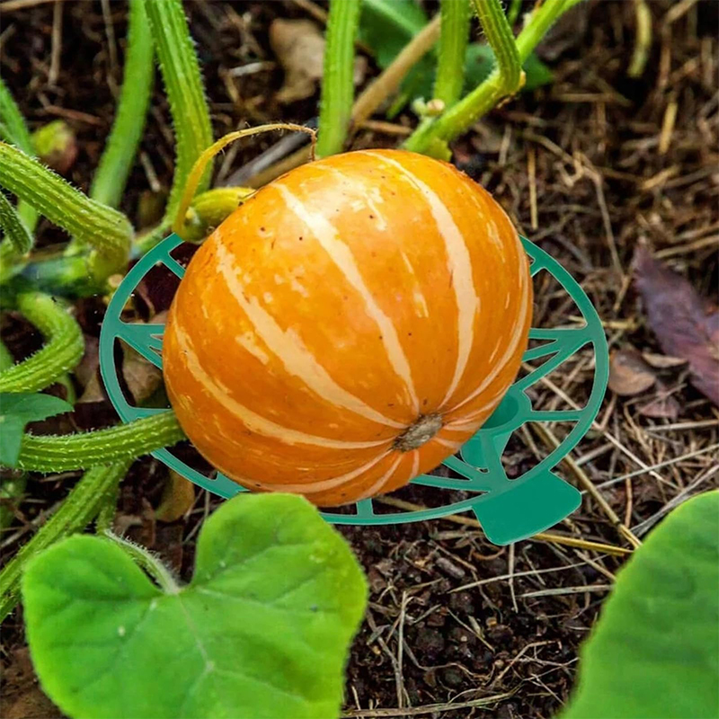 Wassermelone Unterstützung Gew – Greenhouse Plastic Film Bewertung und Preis