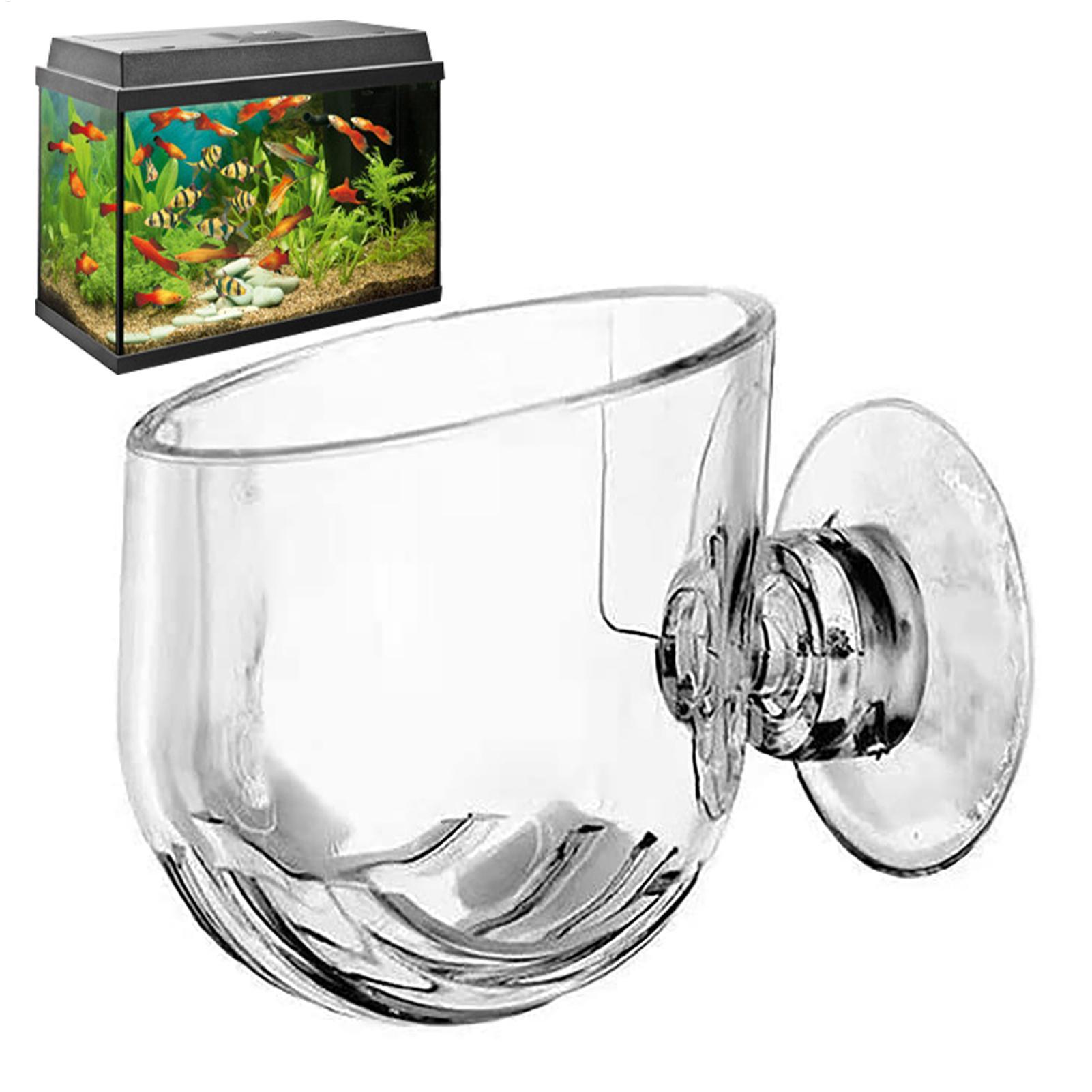 Wasserpflanztopf, transparente – Plant Growth Regulator Bewertung und Preis