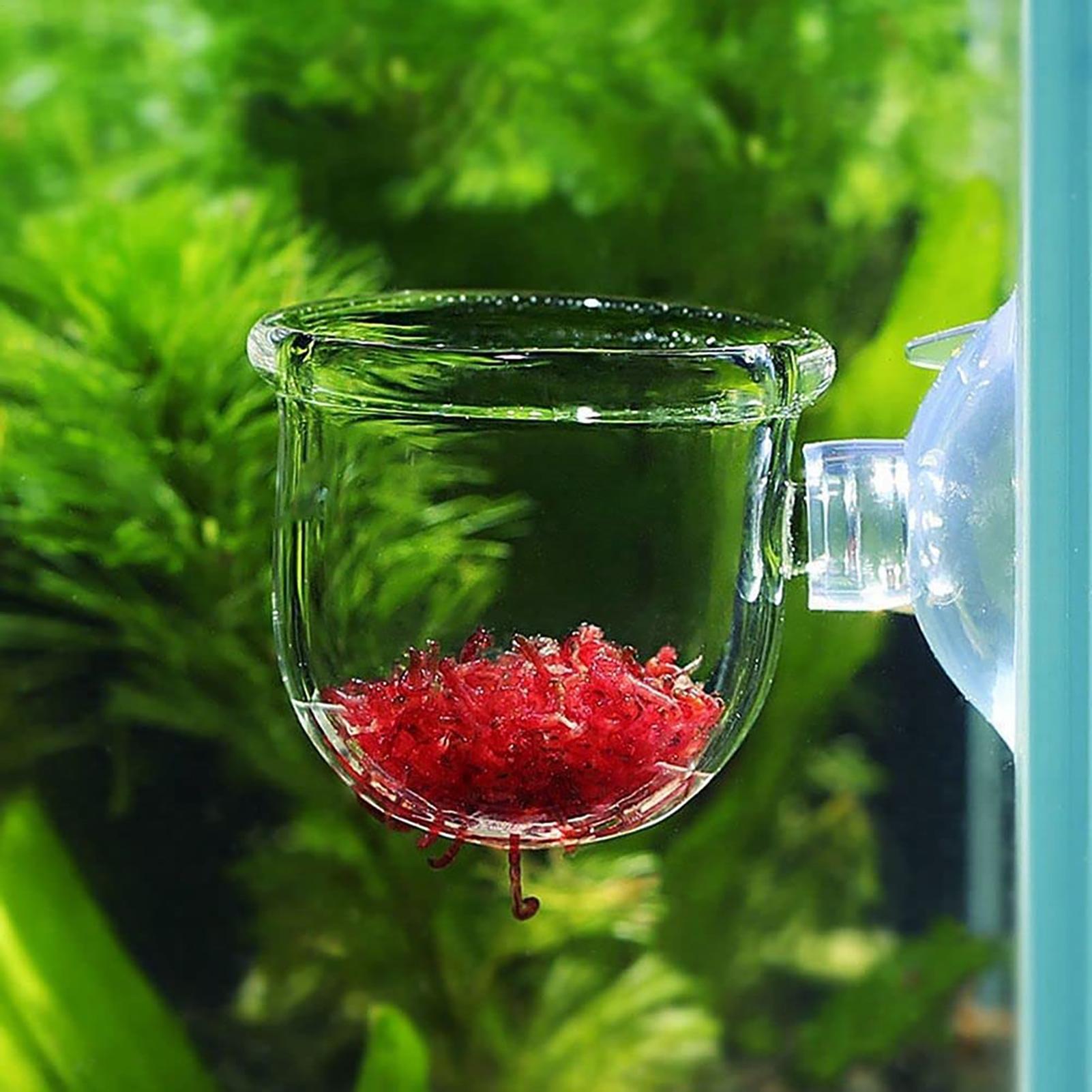 Wasserpflanztopf, transparente – Plant Growth Regulator Bewertung und Preis