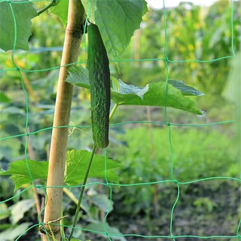 62KD Pflanzengitternetz für Kl – Agriculture Farming Net Bewertung und Preis