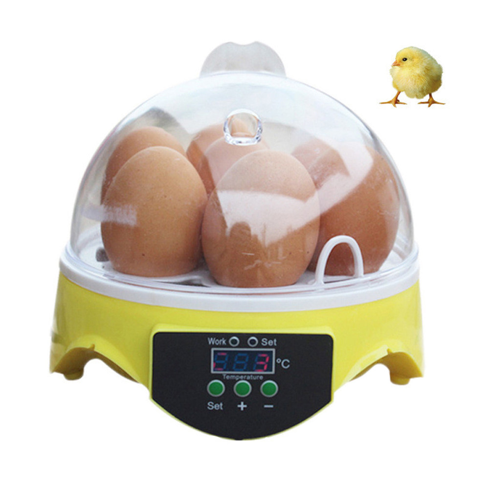 7-Eier-Geflügelbrutkasten mit  – Poultry Incubator Bewertung und Preis