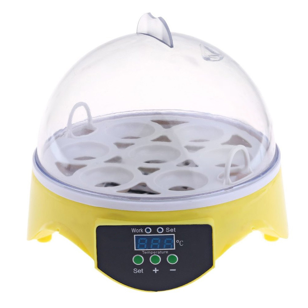 7-Eier-Geflügelbrutkasten mit  – Poultry Incubator Bewertung und Preis