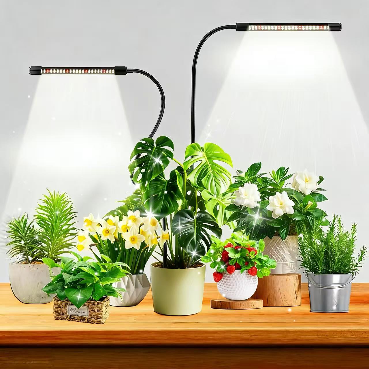48-LED-Pflanzenlampe für Zimme – Plant Growth Regulator Bewertung und Preis