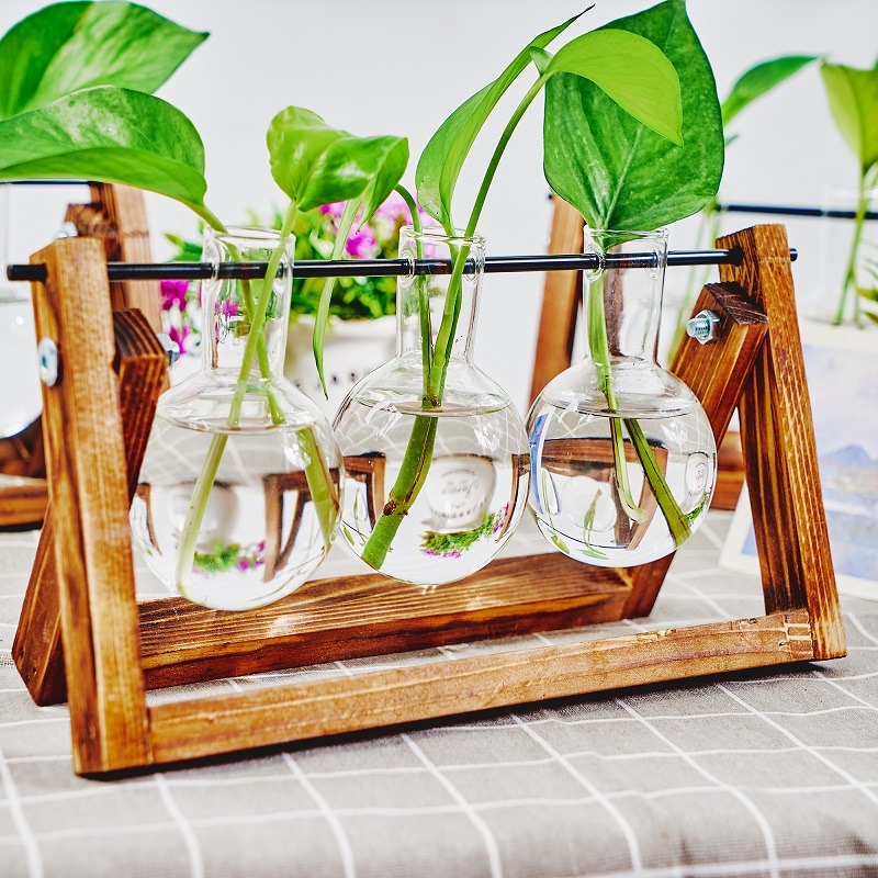 Tabletop Glas Pflanzer Vermehr – Plant Growth Regulator Bewertung und Preis