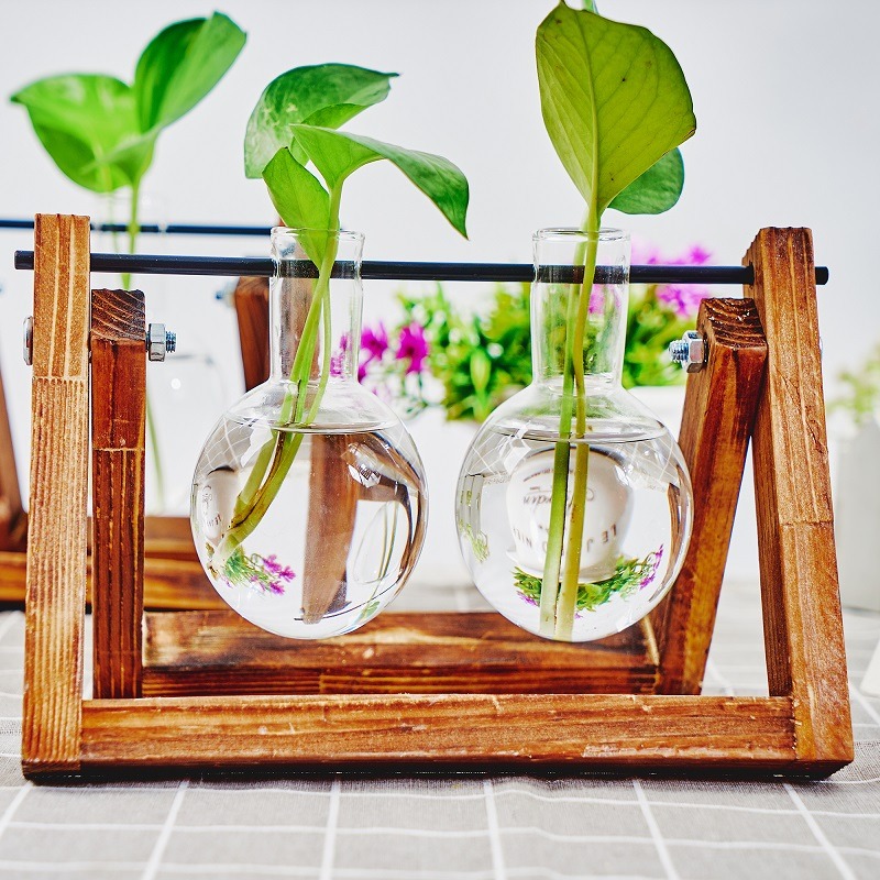 Tabletop Glas Pflanzer Vermehr – Plant Growth Regulator Bewertung und Preis